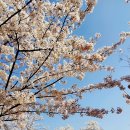 뚜레쥬르 부산시민공원점 이미지