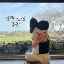 휴왓 | 제주 감성 숙소, 제주 숙소 추천, 제주가면 꼭 가봐야하는 곳, 제주 휴왓 펜션