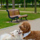 주식회사 펫프렌즈 이미지