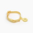 분홍강아지 | (강아지 위치추적) 에어태그 강아지 목줄 구매 실사용 후기