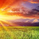 카리스온 이미지