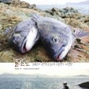 남해 Season 이미지
