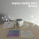 하마공작소 | 카네이션씨앗 키우기 | 푸른풀공작소 씨앗키트 후기 | 홈가드닝