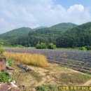 대사 마을회관 이미지