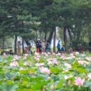 양서문화체육공원 이미지