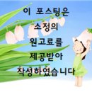 사랑의꽃집