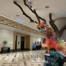 (주)문앤선리메드 | 서울 근교 5성급 호텔, 호캉스 추천 :: 소노캄 고양 파밀리에 스위트룸 대만족 후기🤍