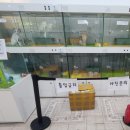 별다방 야옹이 이미지