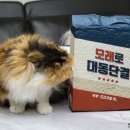 대동이용재료