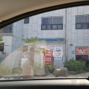 레인보우광택 이미지