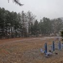 강림초 월현분교장 이미지