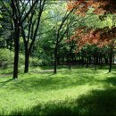 시민의숲 이미지