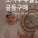 노시부 주말 반짝공구 소식!