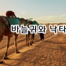 10월 12일(토) 네게 아직 부족한 것이 있으니! 이미지