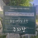 대왕암공원3(주차장) | 울산 대왕암공원 출렁다리 주차장 이용 후기