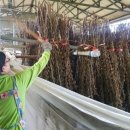 알맹이민박 이미지