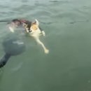 서구-02-76 이미지