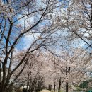 중2동-49 이미지