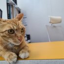 율곡동물병원 이미지