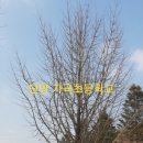 가곡초등학교, 가곡초교(병설유치원) 이미지