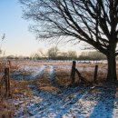 의료법인 현대의료재단 이미지