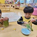 한울초병설유치원 이미지