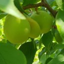 후레쉬팩토리 이미지