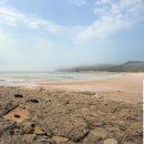 의항해수욕장 입구 이미지