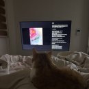 라뽀동물병원 | [ 일상 ] 2월 2주차 직장인 일상 만족스러운 주말, 김현아 방문, 호카 아울렛, 고양이랑 함께한 주말...