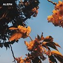 향수노래홀 | 2026) 아쉬웠던 ALEPH CONCERT 'SYNOPSIS' 후기