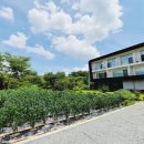 폴라로이드펜션 이미지