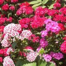 순흥농장 이미지