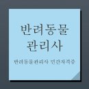 반려동물 관리사 네이버블로그