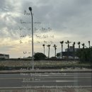 트레이닝팜트리 이미지