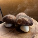 관아 수제차 | [제주공한 근처 맛집, 놀거리] 손만두 팔복만두, 이자카야 도주제, 제주목관아 펠롱펠롱 빛 모드락