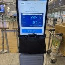 브런치바젤 | 26 유럽여행 - 독일 하이델베르크