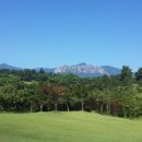 대하프라자 이미지