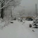 김삿갓면-11 이미지