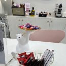 월드헤어샾 - 서구 | 부산 해운대장산 왁싱샾 페이스왁싱 라떼끄랩 슈가링왁싱