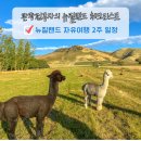 지열농장 | 뉴질랜드 자유여행 2주 일정 남섬 북섬 차이 여행 코스 인아웃 도시 추천