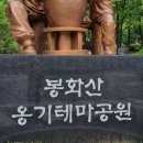오늘;산책 네이버블로그