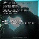 테피티 이미지