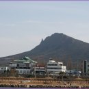 정남진 편백숲 우드랜드 이미지