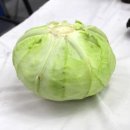 우리야채;과일 이미지