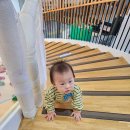 차차래빗 이미지