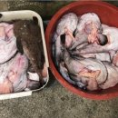 동경아구찜 이미지