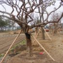 이화봉농장 이미지