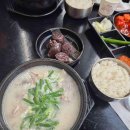 (12/09)크리스마스 미니트리 이미지