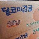 감귤10kg 13,000 (택포) 이미지