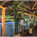 스테이 문릿 이미지